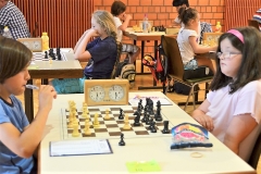 2012_07_28a 015